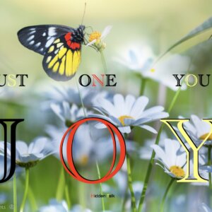 Tiny Butterfly Image