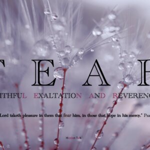 FEAR - Download