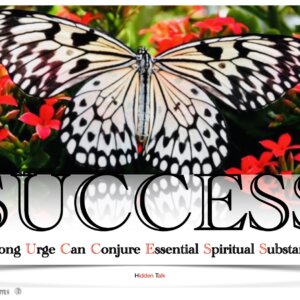 Butterfly Image
